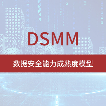 DSMM数据安全能力成熟度模型