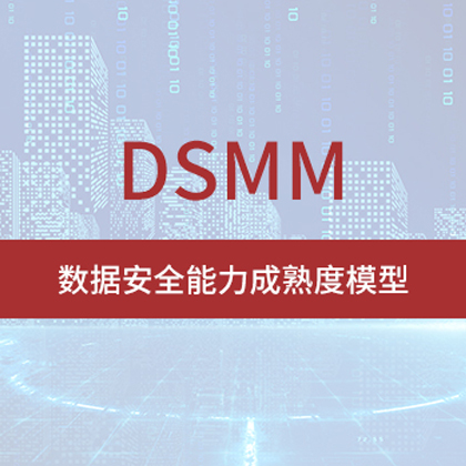 DCMM简介